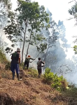 Perkembangan Situasi dan Penanganan Bencana di Tanah Air Tanggal 23 Juli 2025